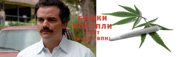 индика Пересвет