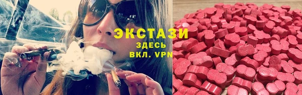 индика Пересвет