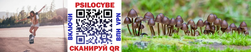 Псилоцибиновые грибы мухоморы Ардатов
